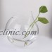 10Pcs Ball Shaped Glass Hanging Flower Vase Plant Hydroponic Bottle Decor   182801703265